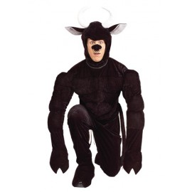 Disfraz de Toro el Terri-Bull