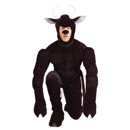 Disfraz de Toro el Terri-Bull